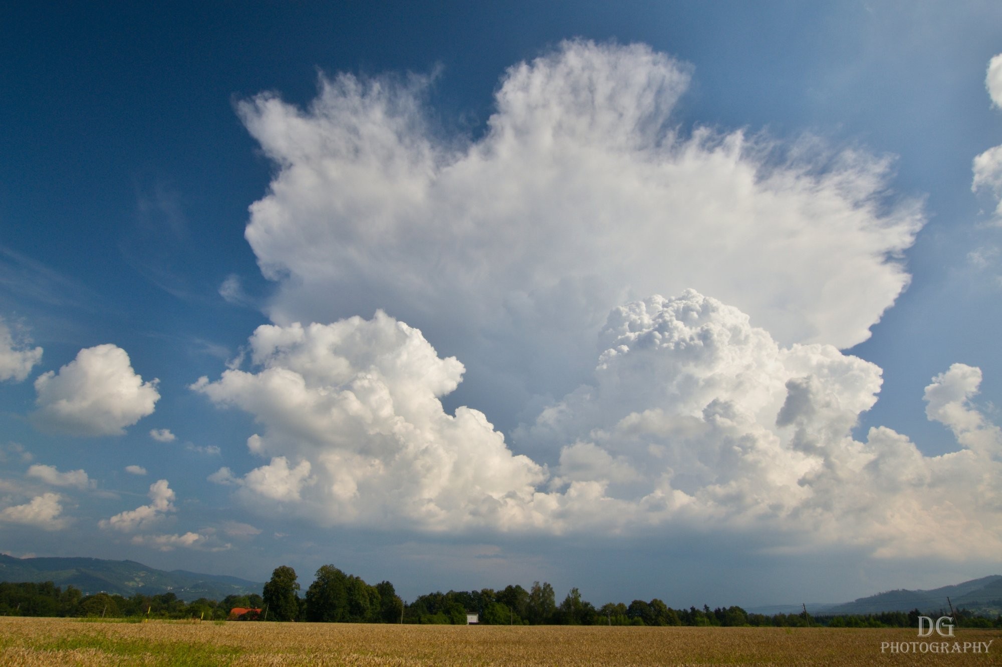 Cumulonimbus capillatus