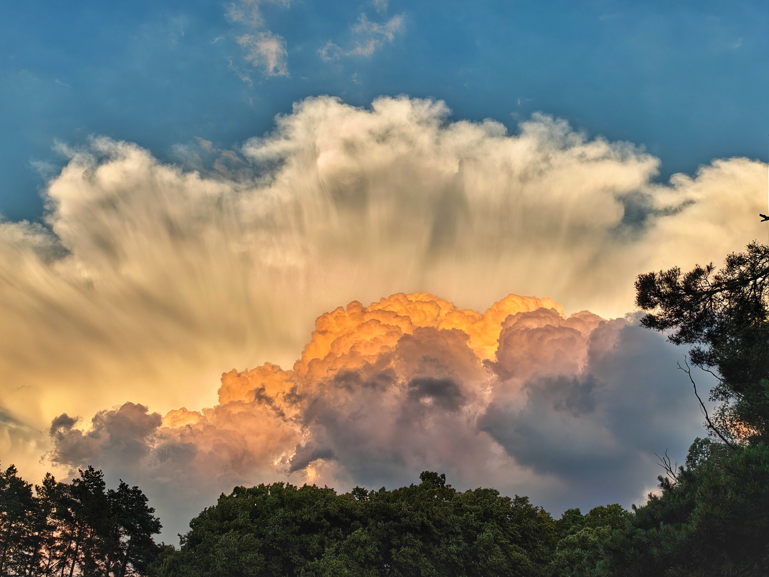 Cumulonimbus nasvícený sluncem