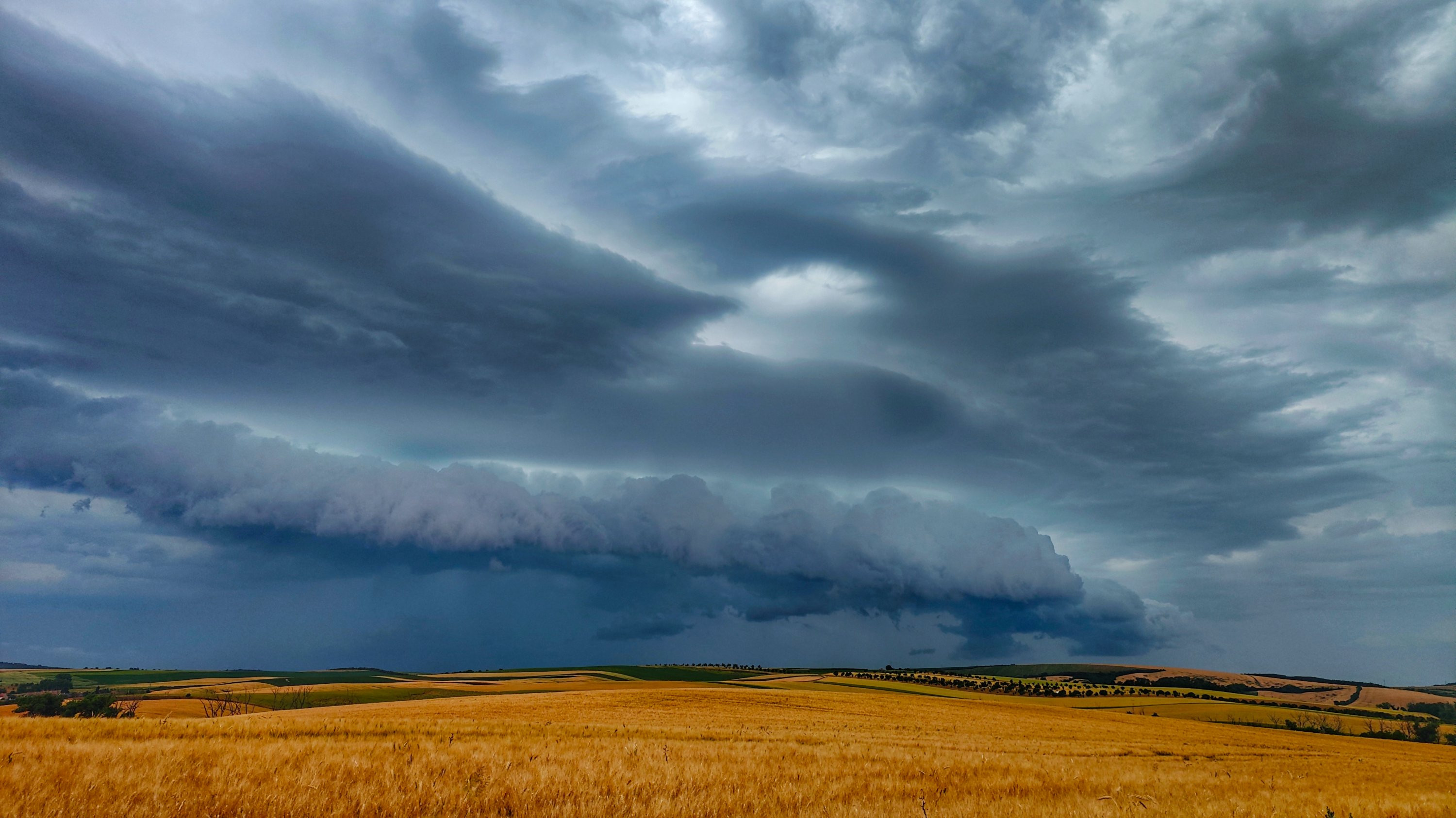 Shelf nad krajinou Mor. Slovácka