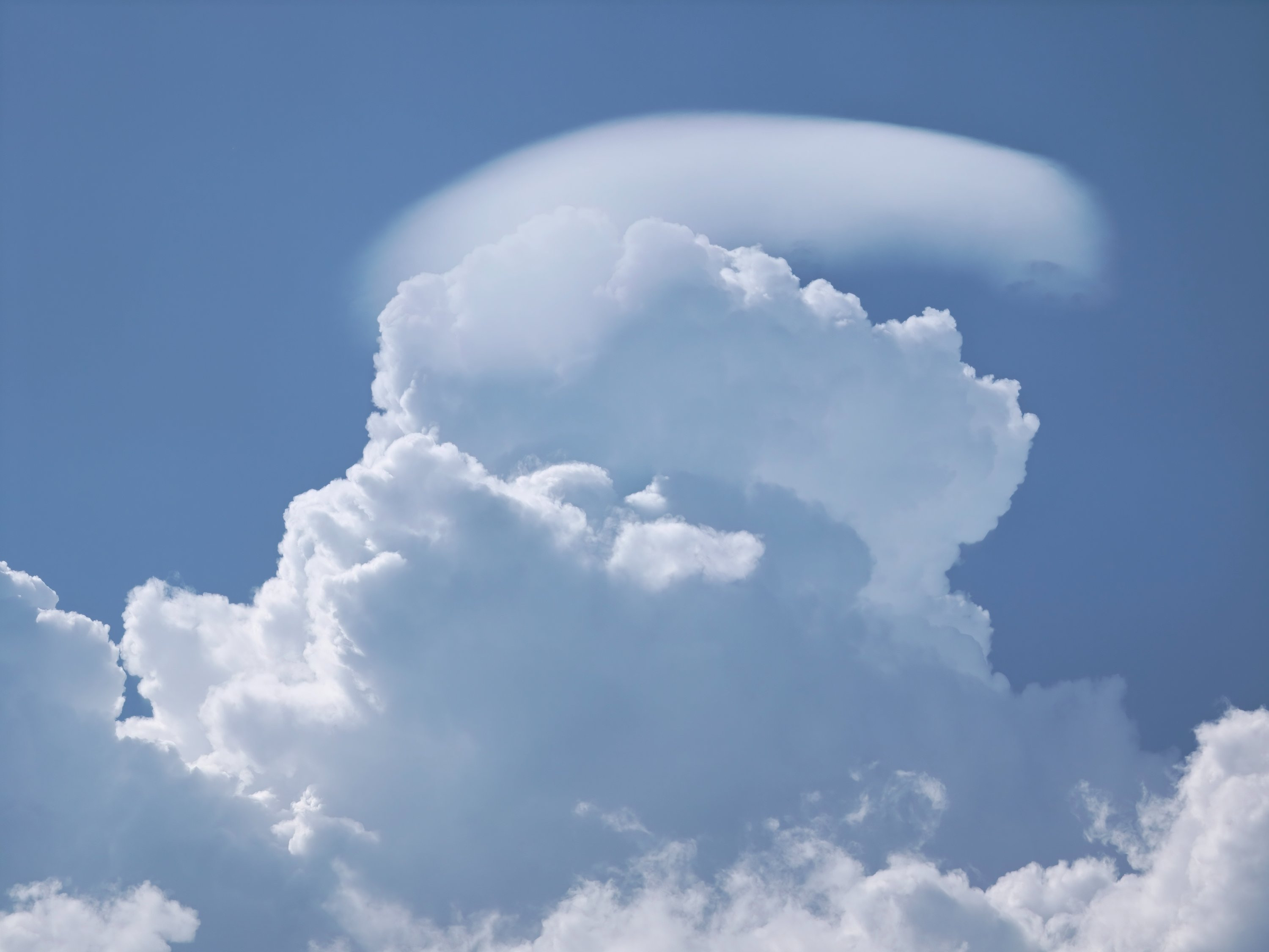 Pileus 