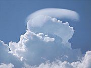 Pileus 