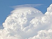 Pileus na bouřce u Opavy