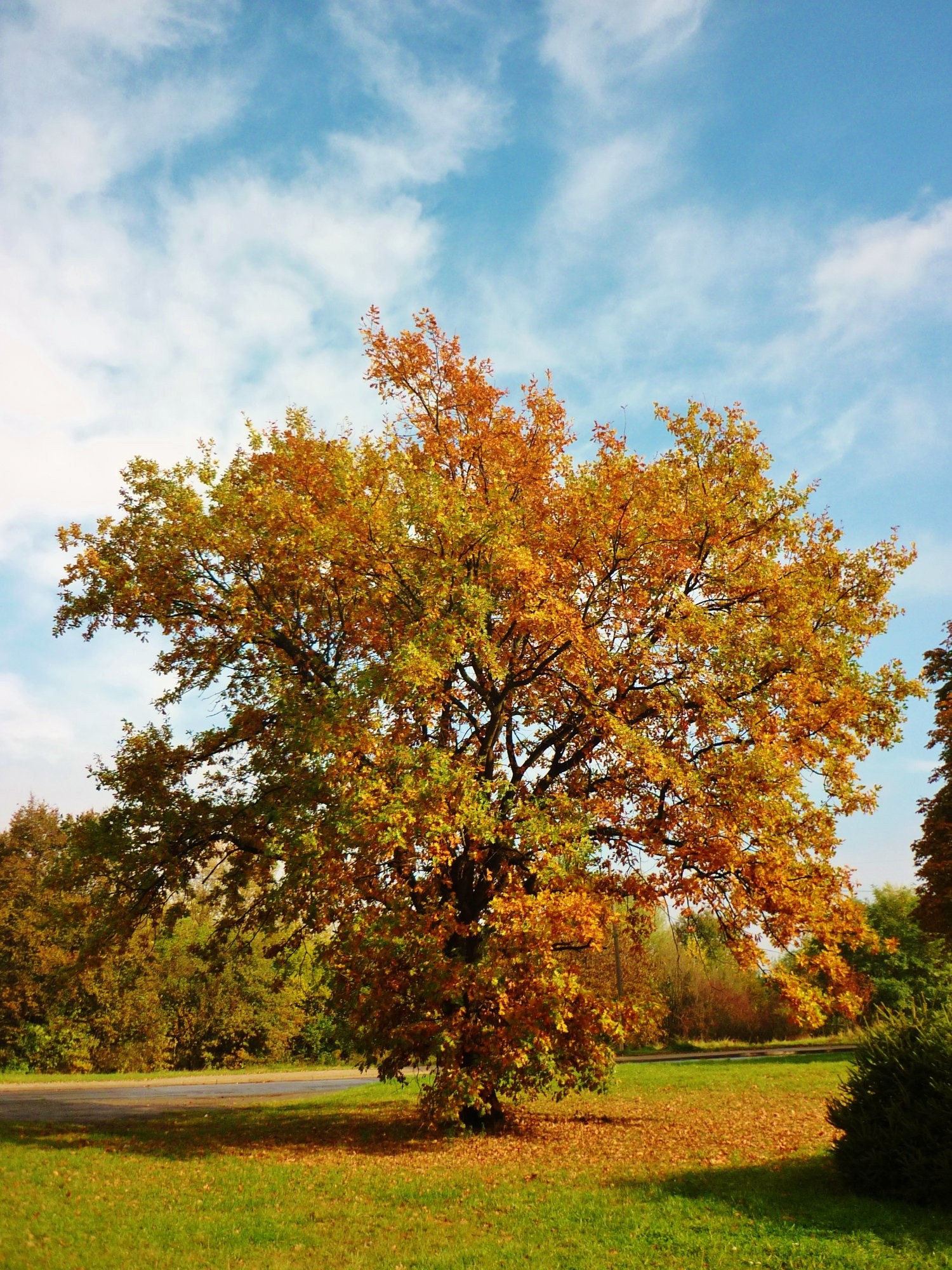 Podzim v Neratovicích