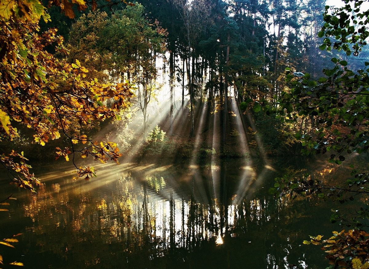 Tento způsob podzimu...