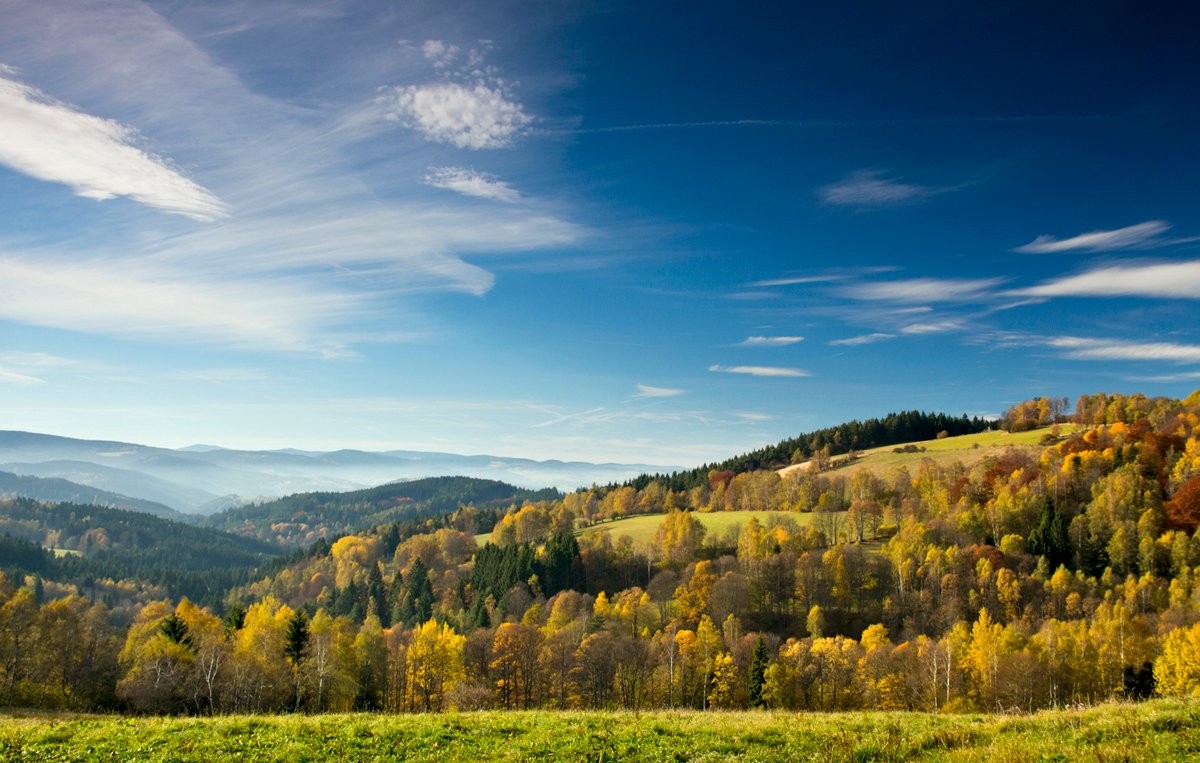 Stromy hýří barvami