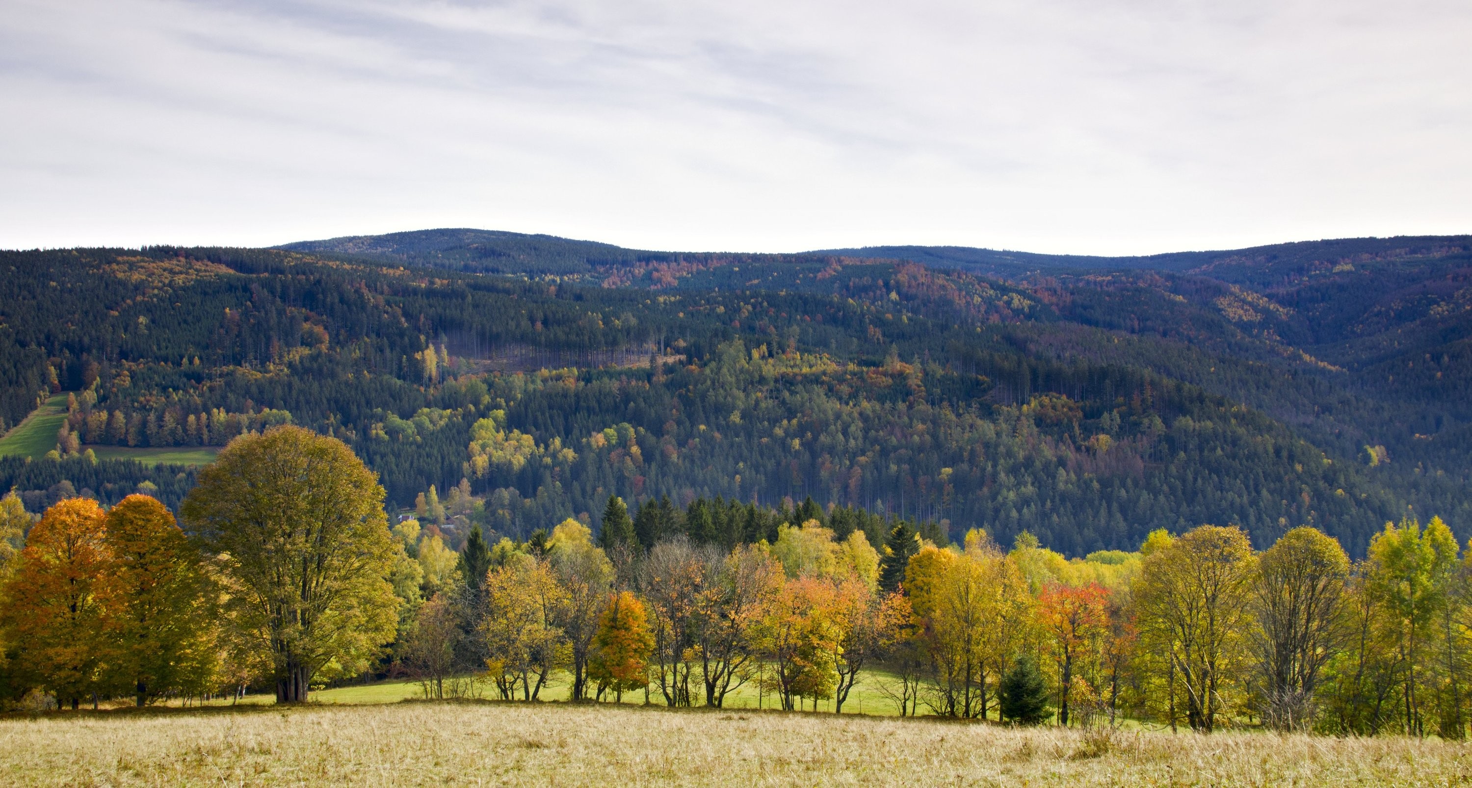 Klostermannova vyhlídka u Srní