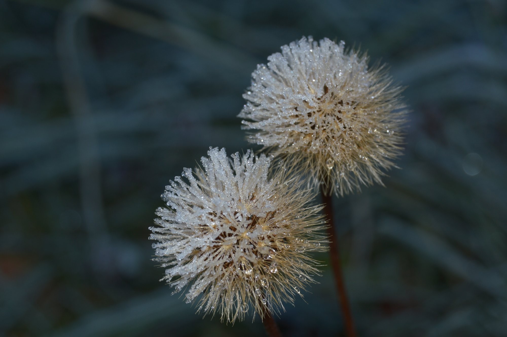 Mrazivé říjnové ráno