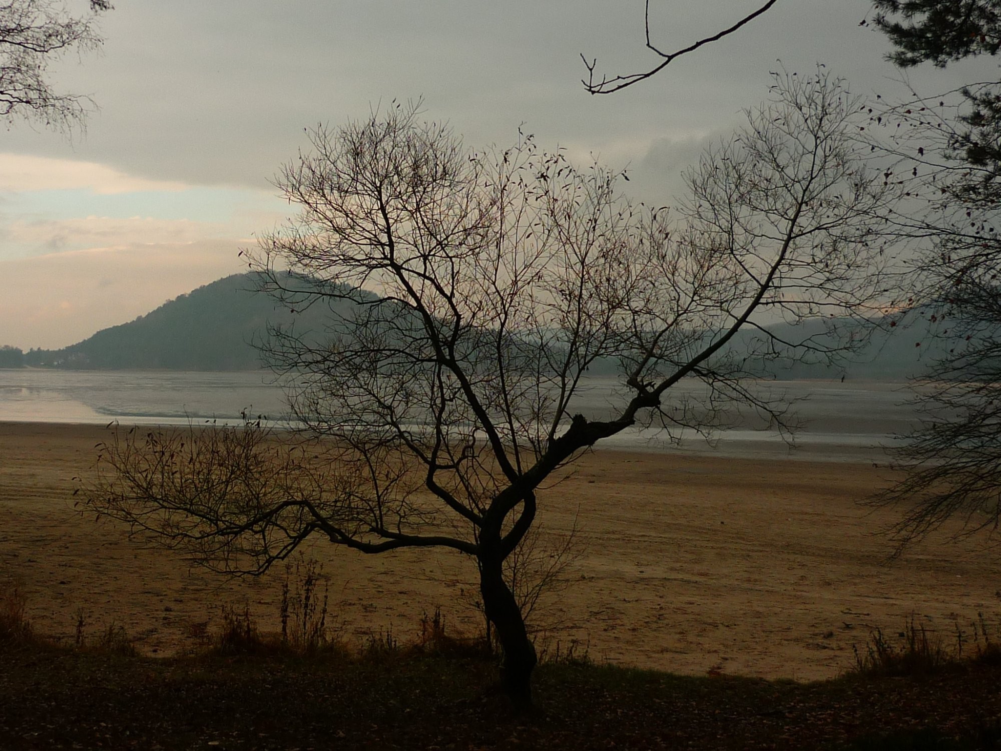 Vypuštěné Máchovo jezero