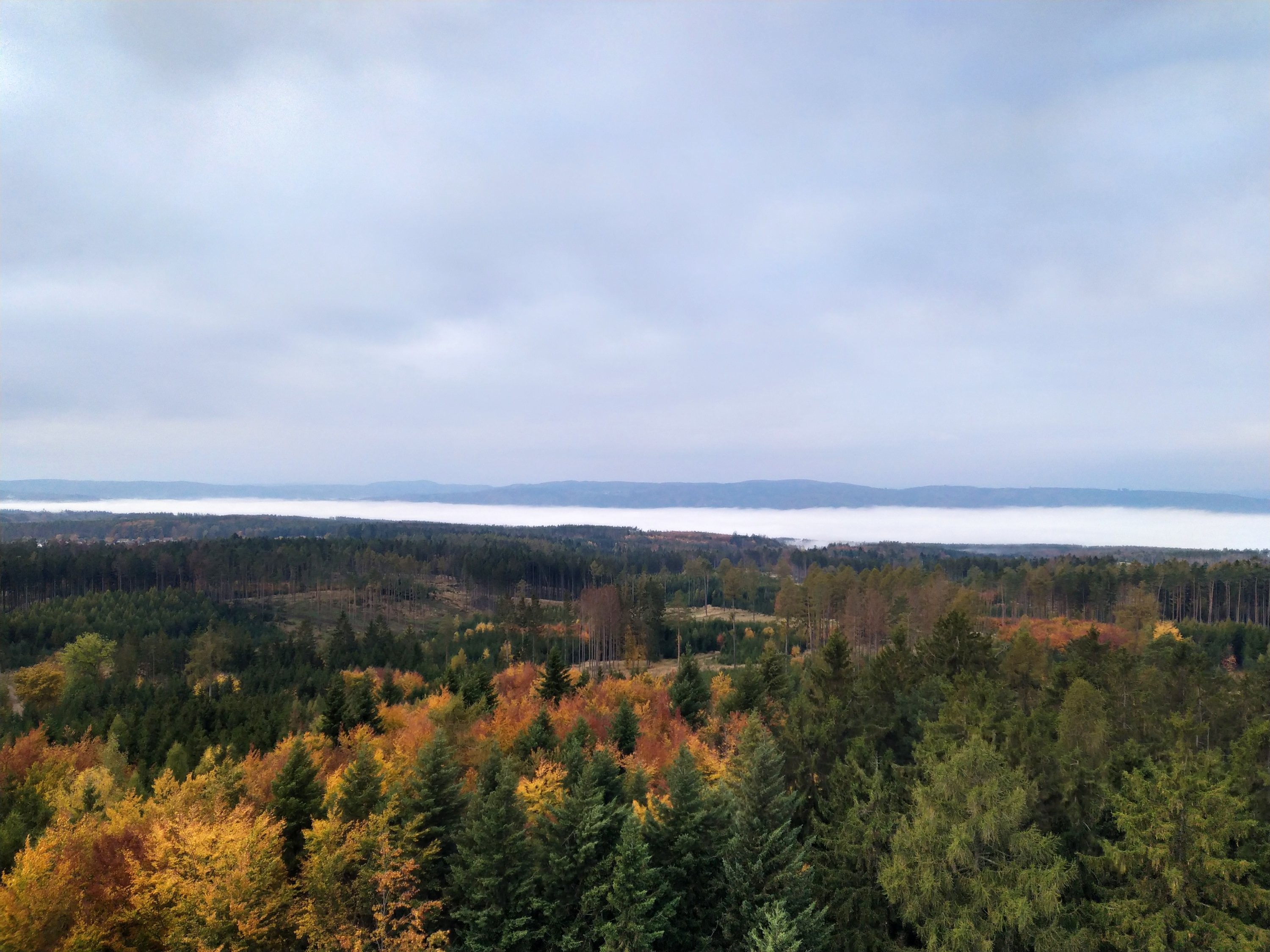 Vzdálené údolí v mlze