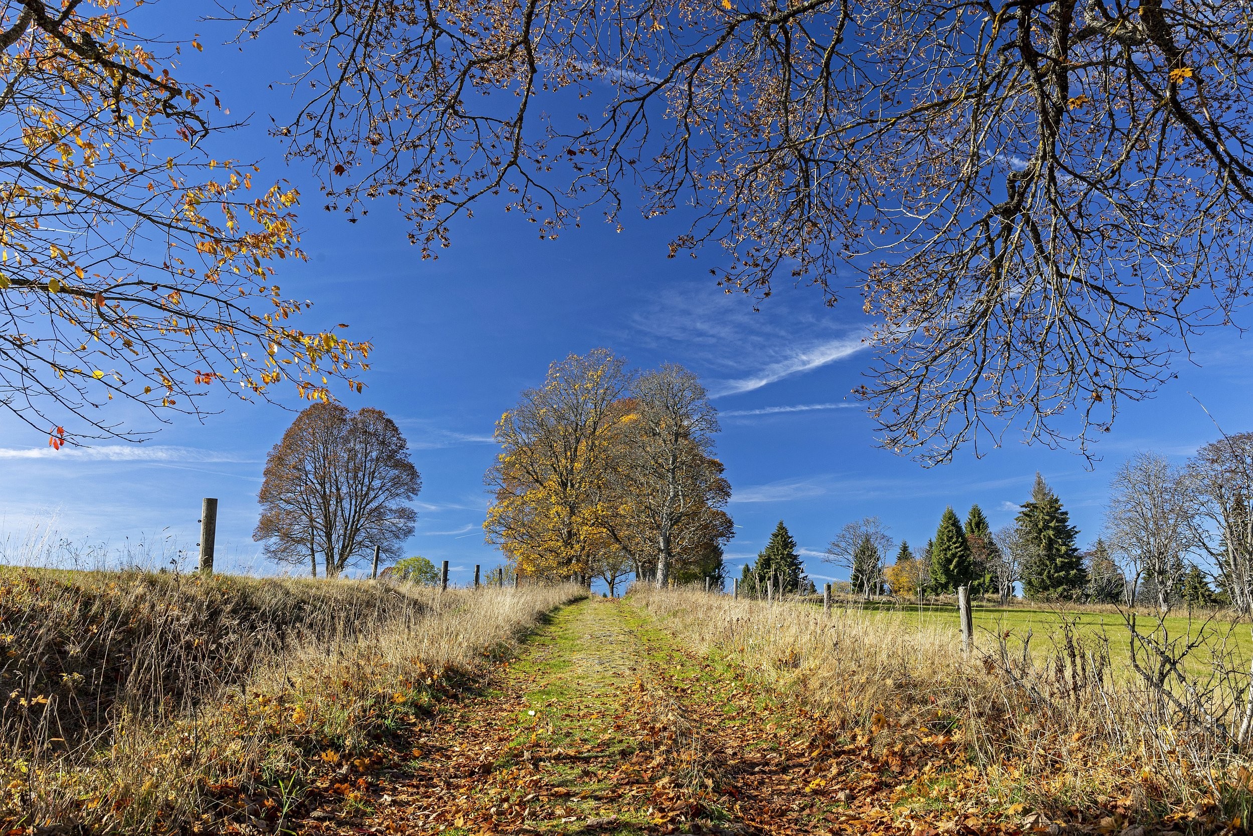 Knížecí Pláně na Šumavě
