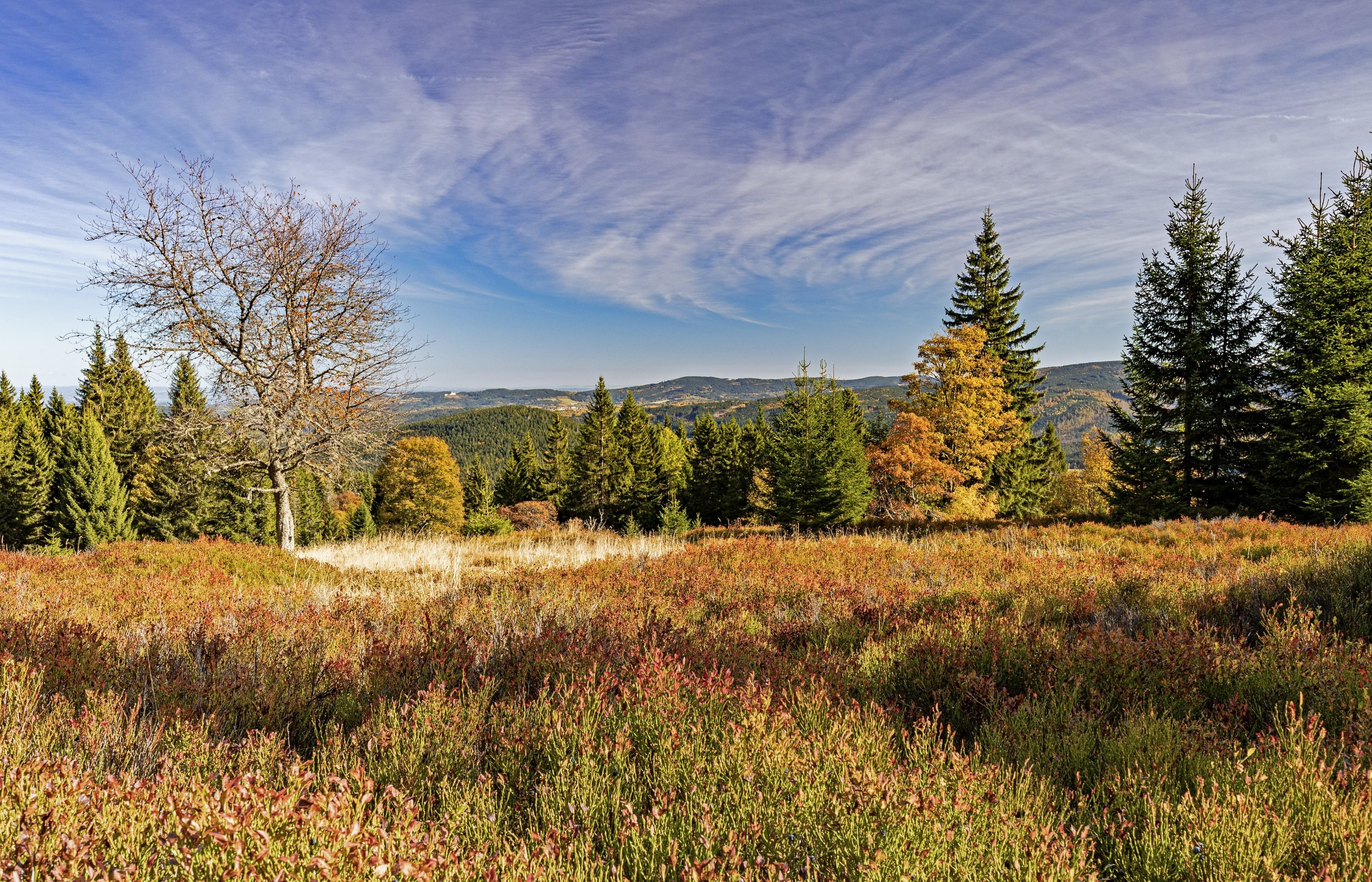 Podzimní Šumava - Zelená hora