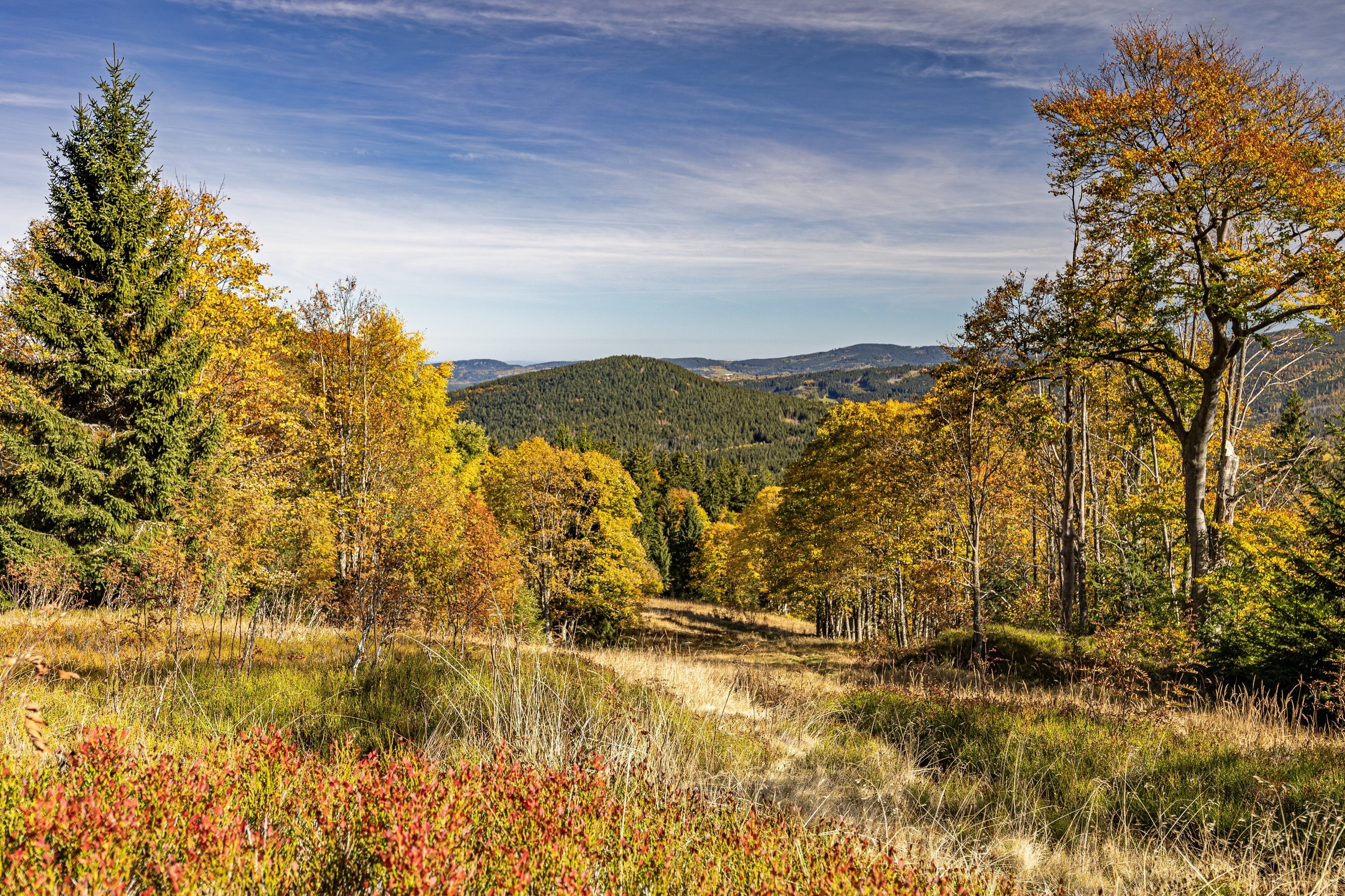 Podzimní Šumava - Zelená hora
