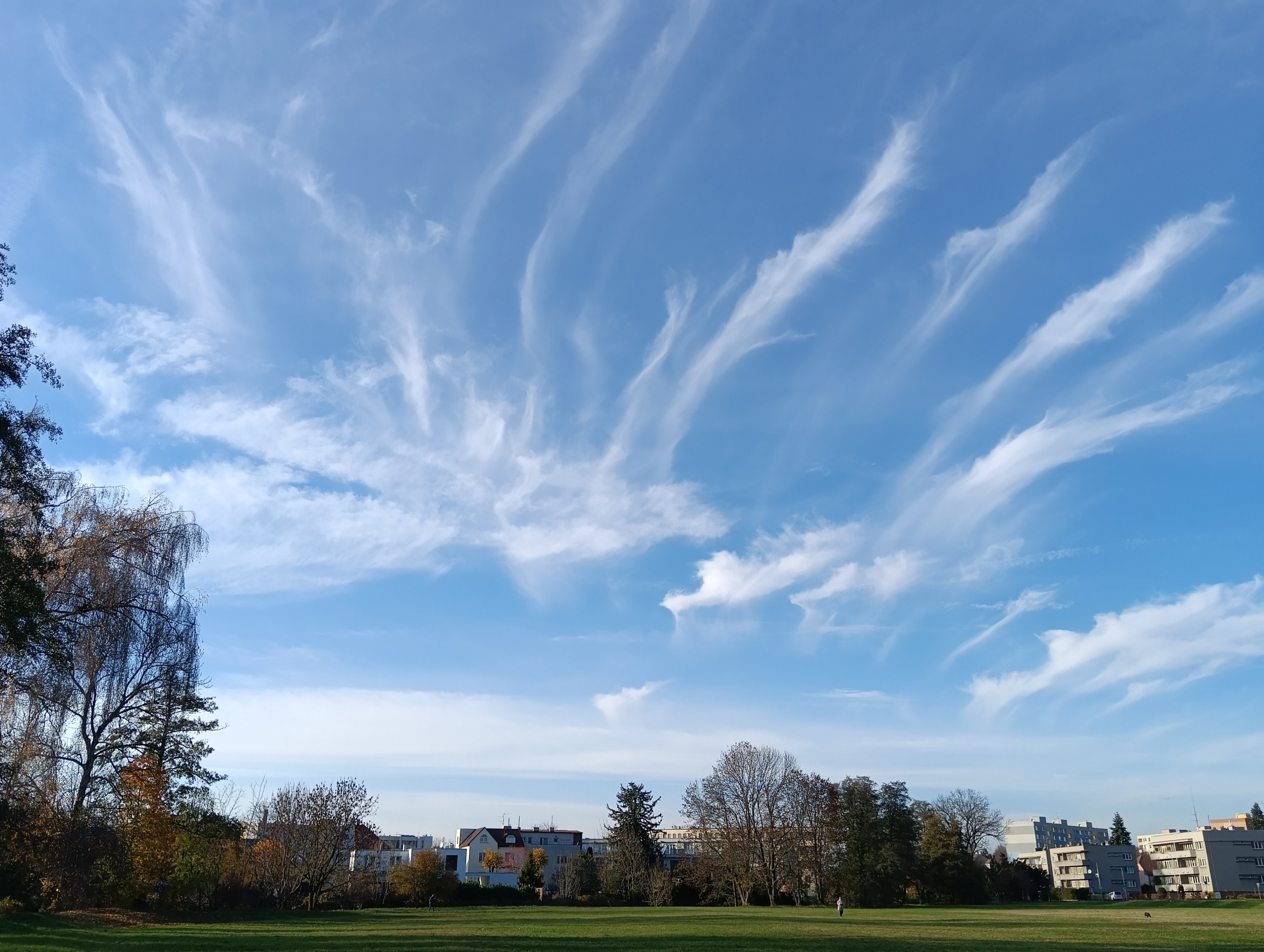 Krásné cirry na obloze 