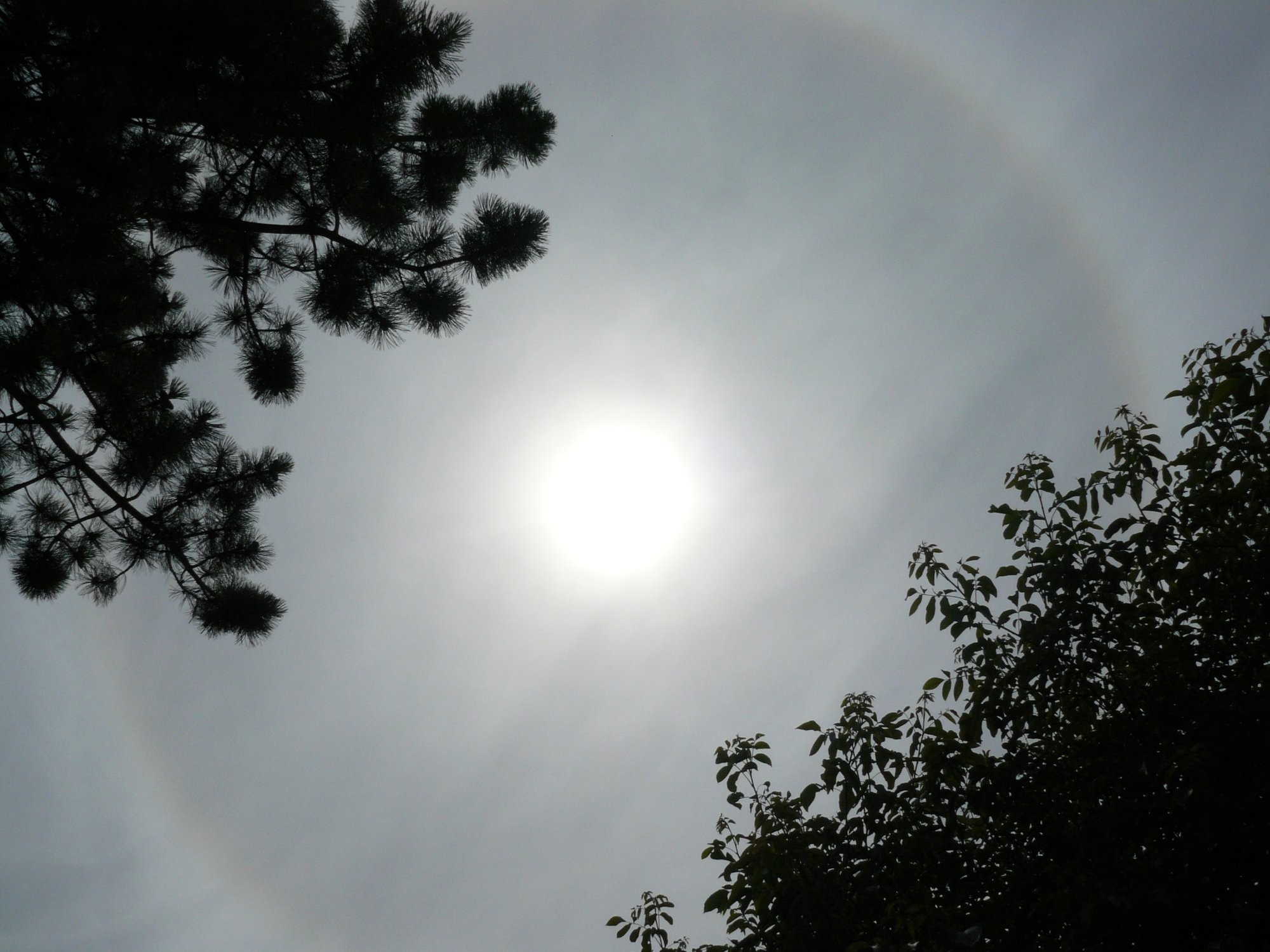 Kruh kolem slunce 23.7.2013 11:06