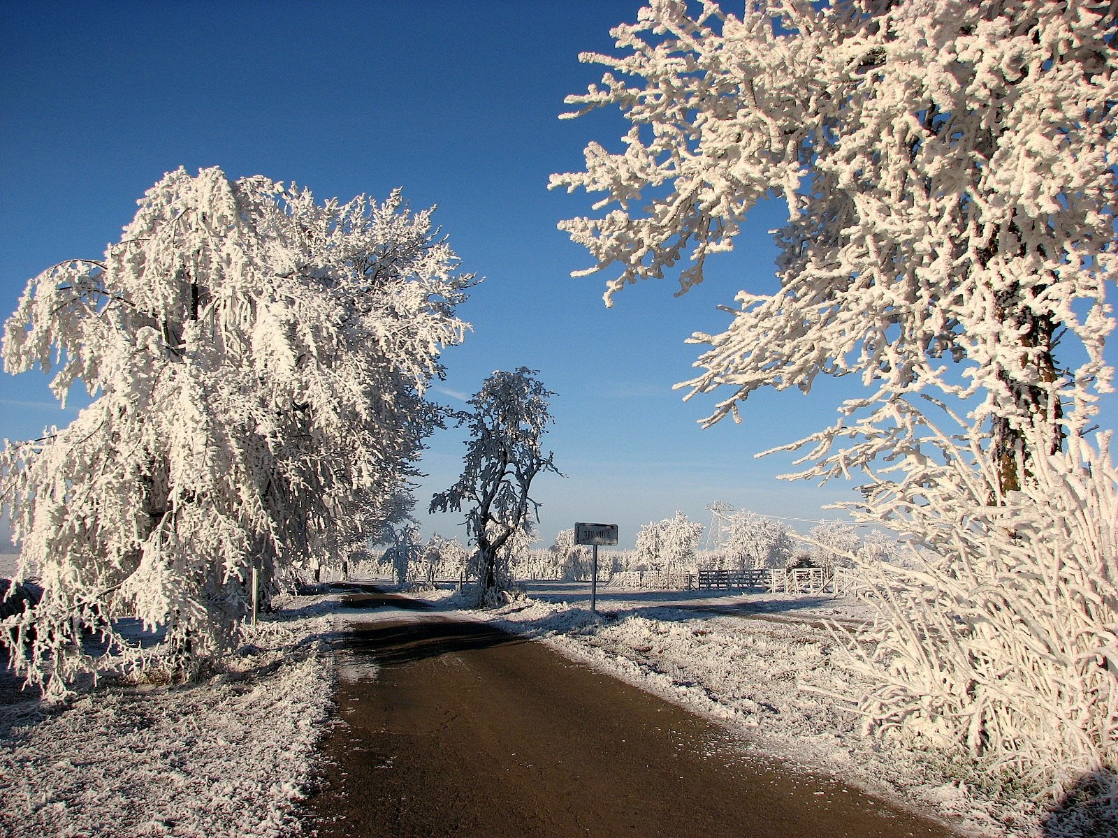 Námraza v plné kráse
