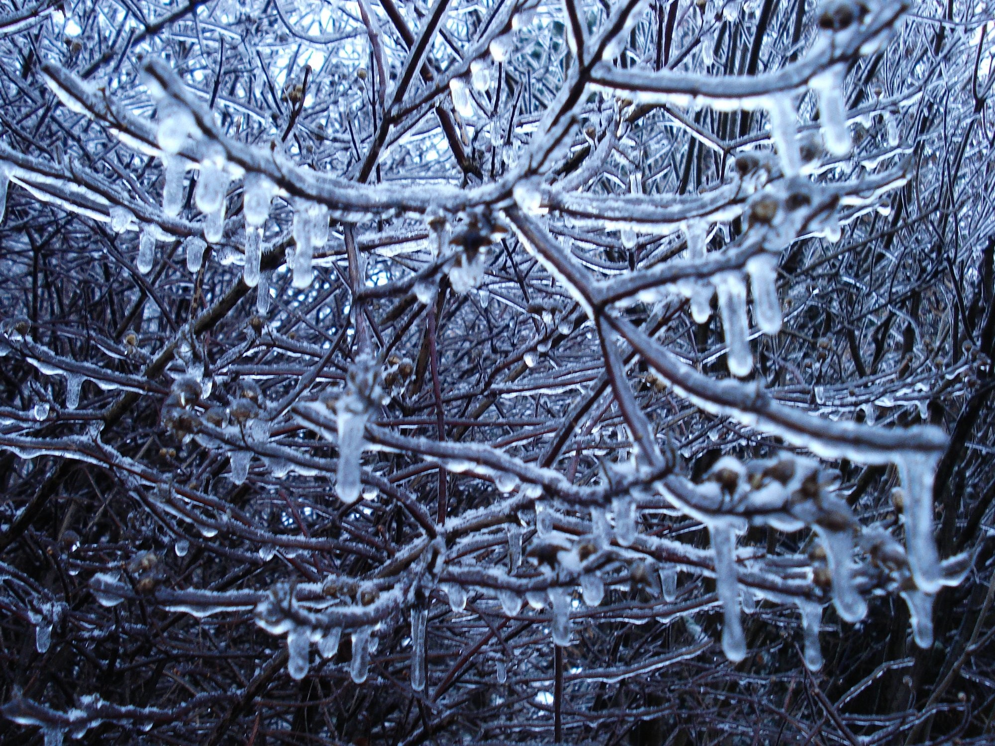 Nástup zimy v Praze