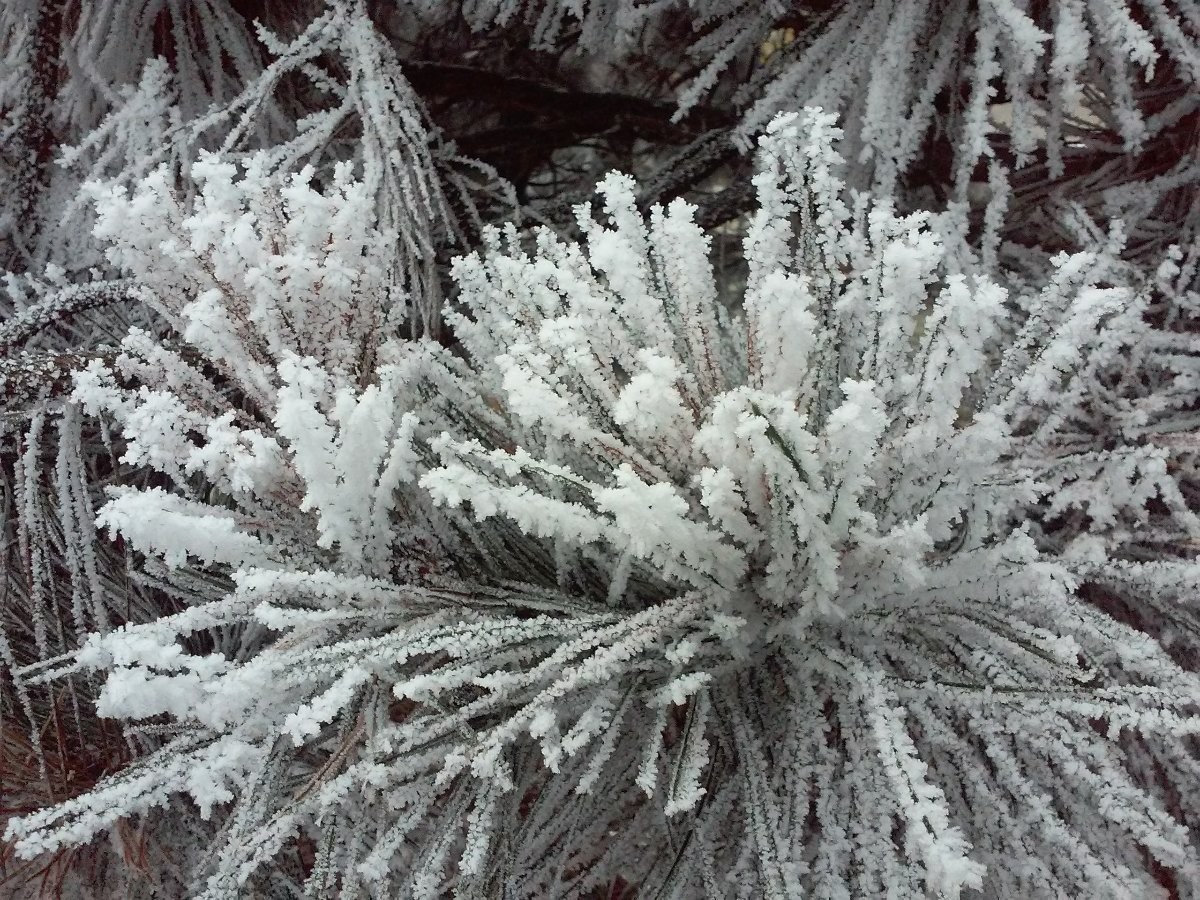 Strakonická námraza