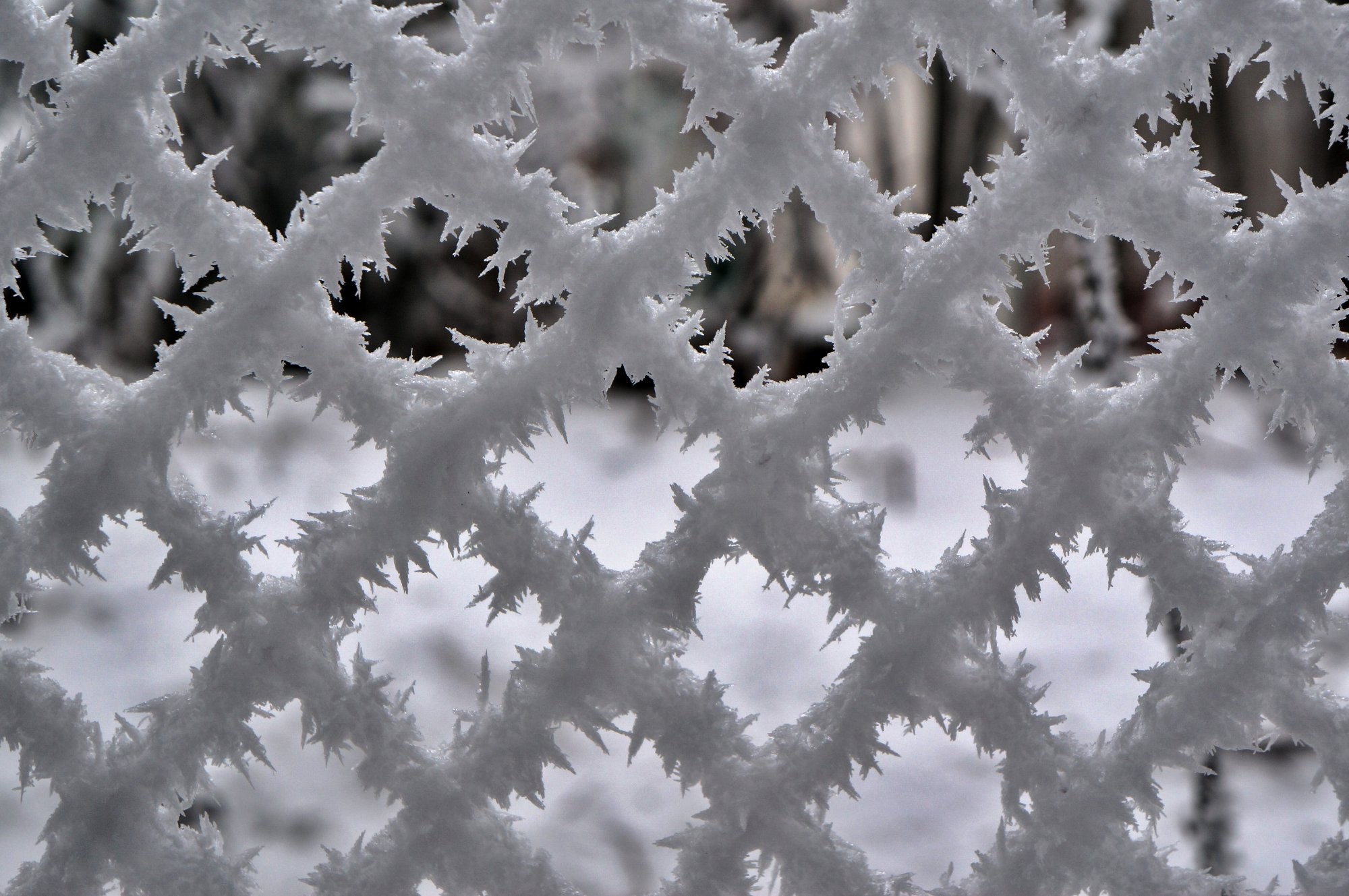 Námraza v kopcích na Svratkou