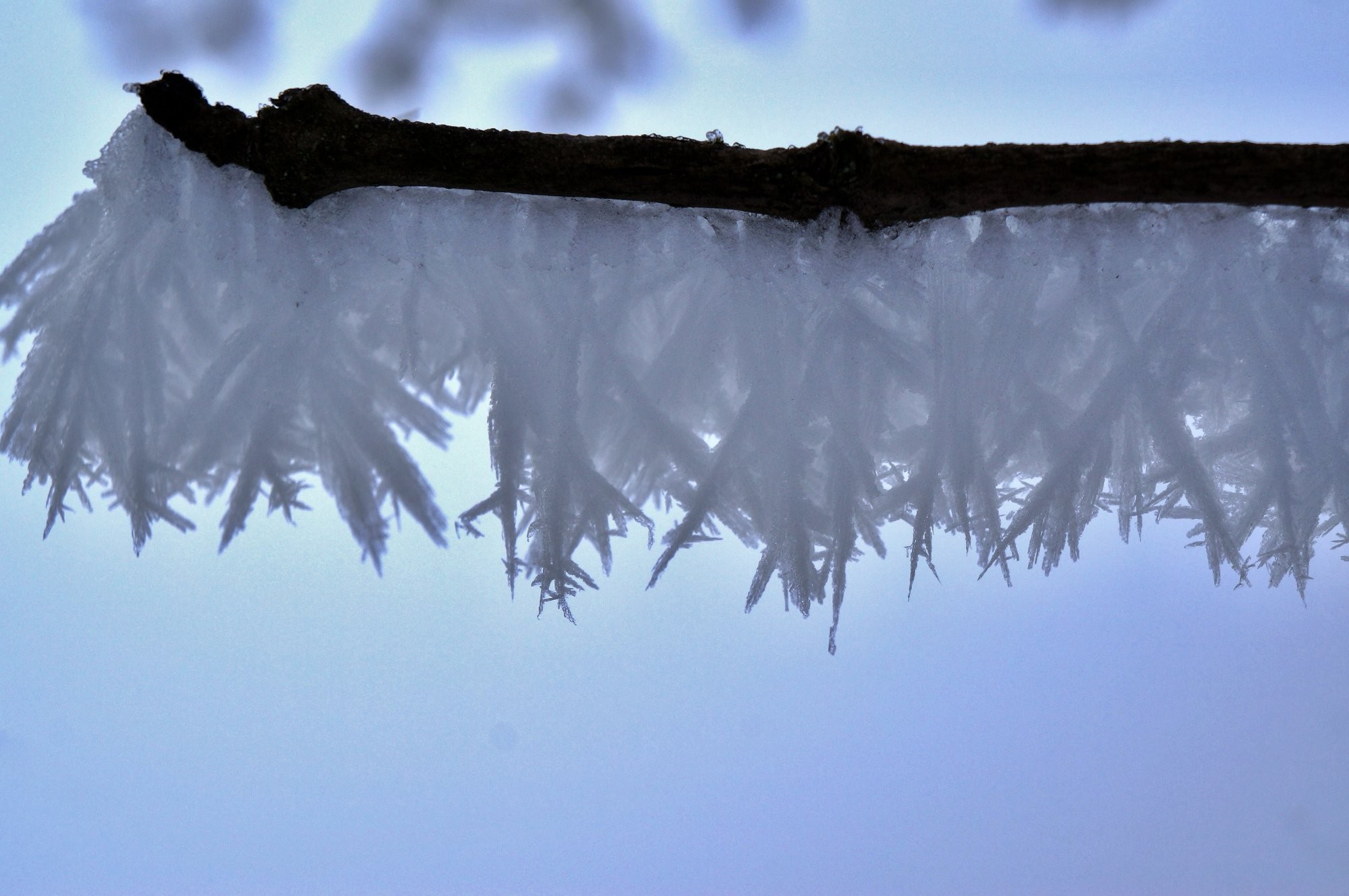 Námraza v kopcích na Svratkou