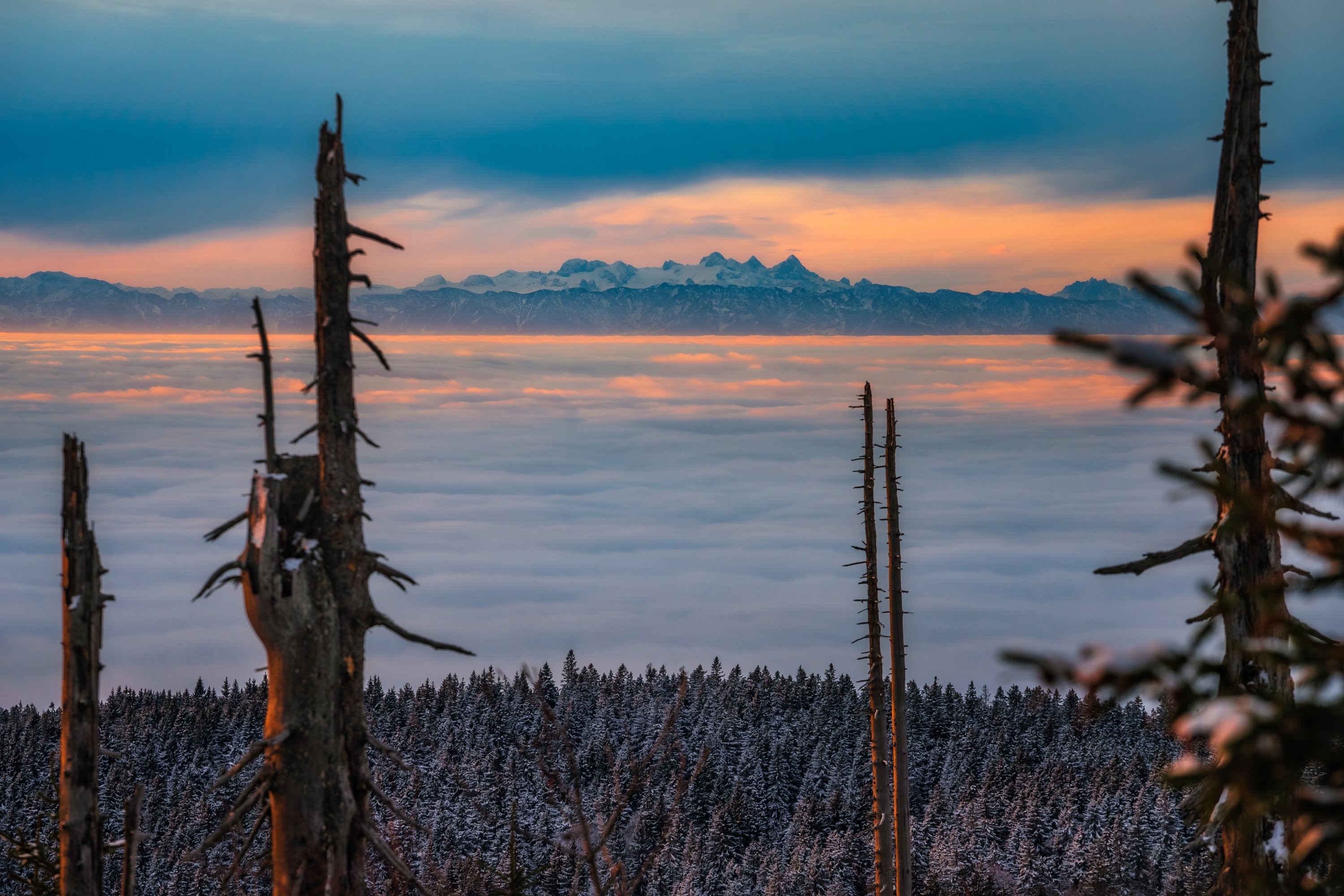 Masiv Dachsteinu z Plechýho, Šumava
