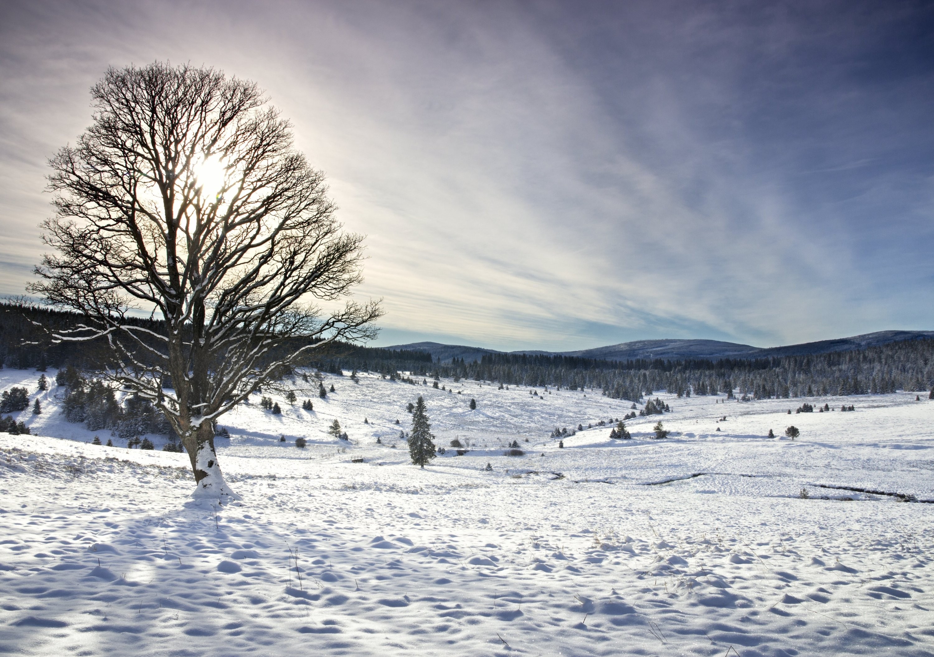 Kepelské Zhůří po sněžení