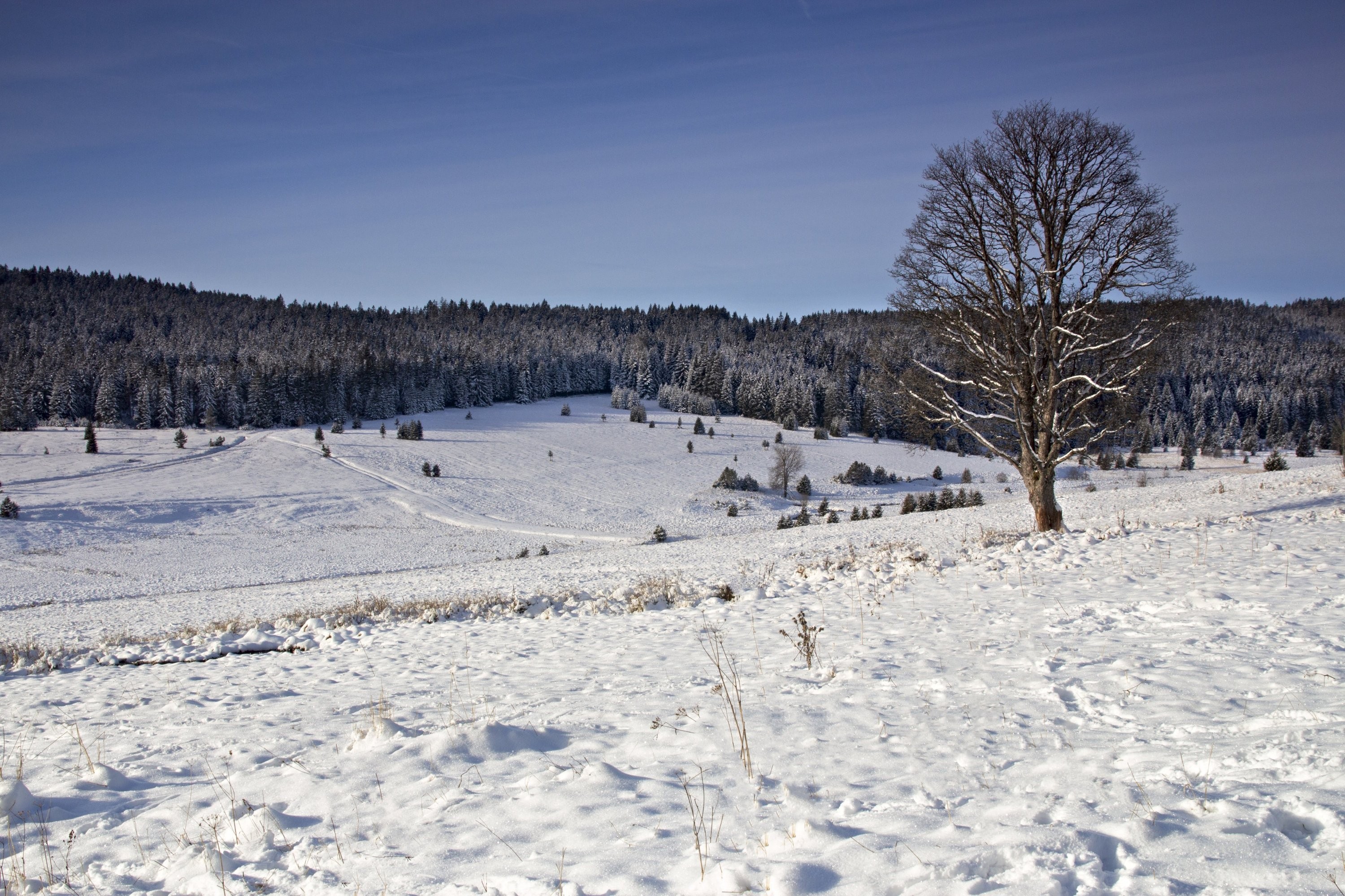 Kepelské Zhůří po sněžení