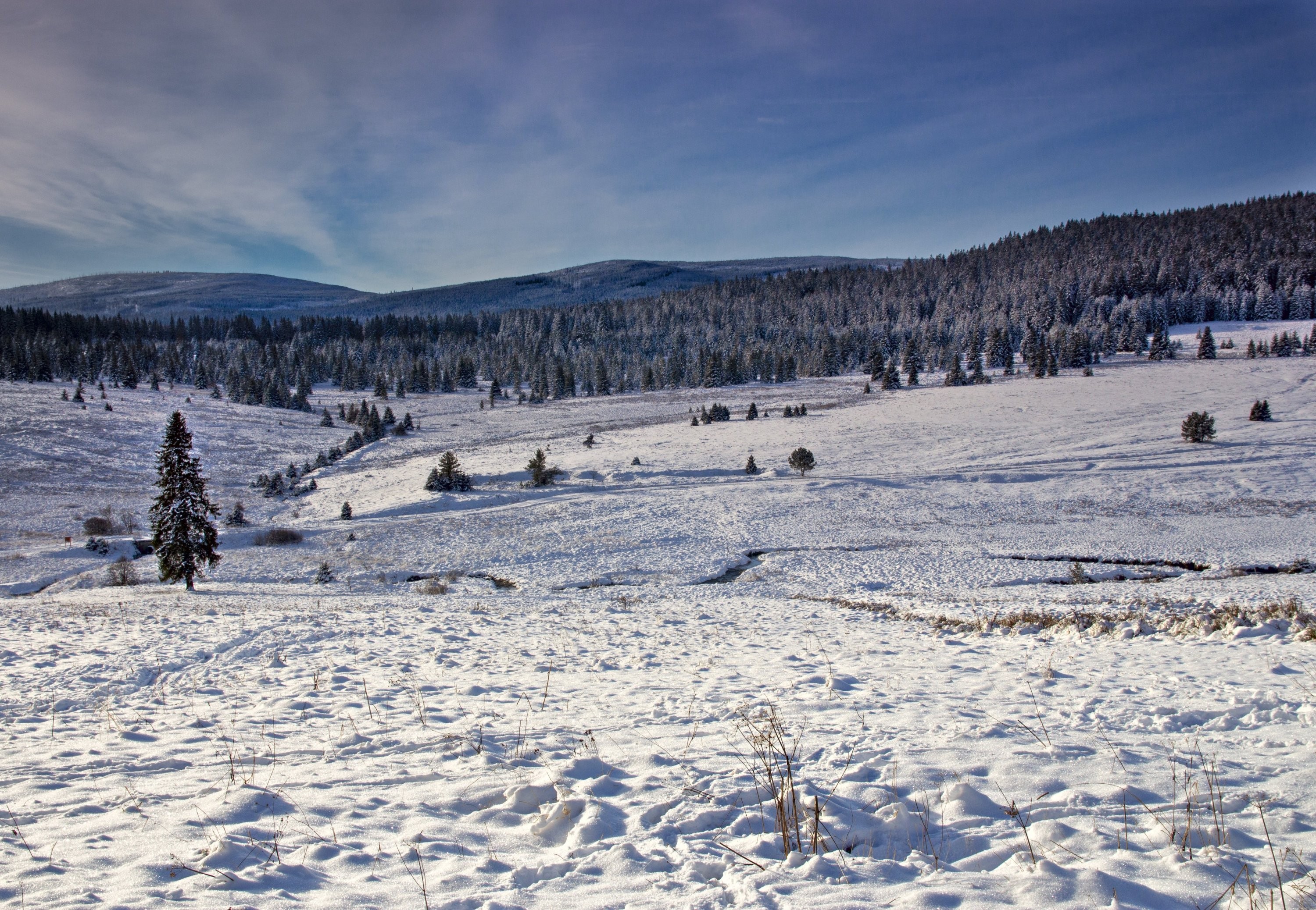 Kepelské Zhůří po sněžení