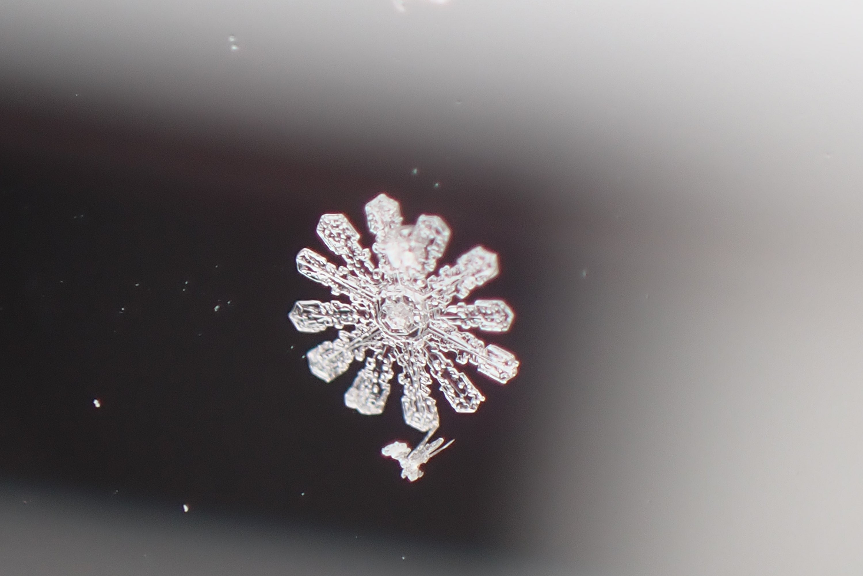 Dvanáctihranná vločka