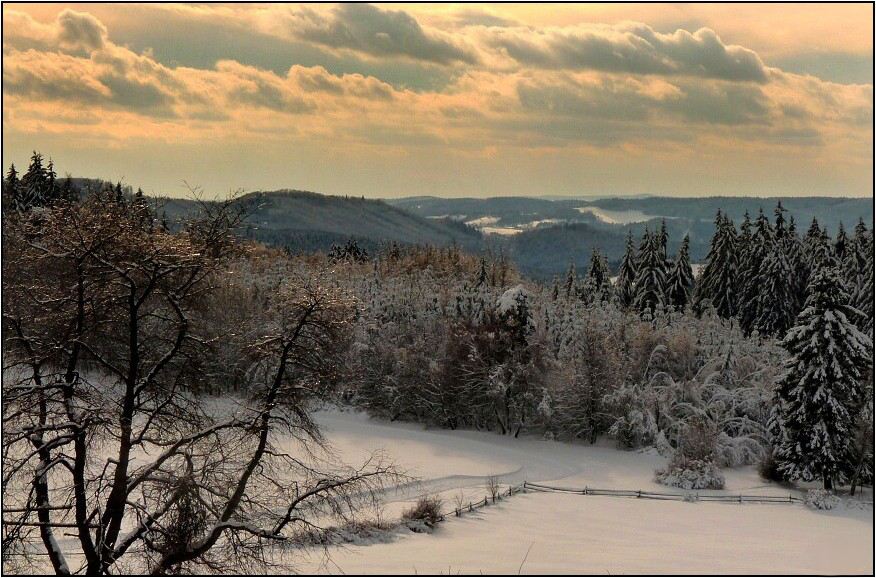 Olešnice na Moravě