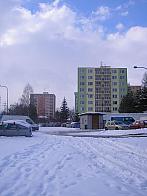 Borovina