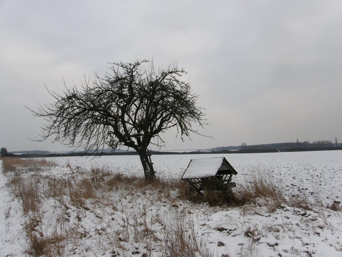 Dětenice-Brodek, okr. Jičín