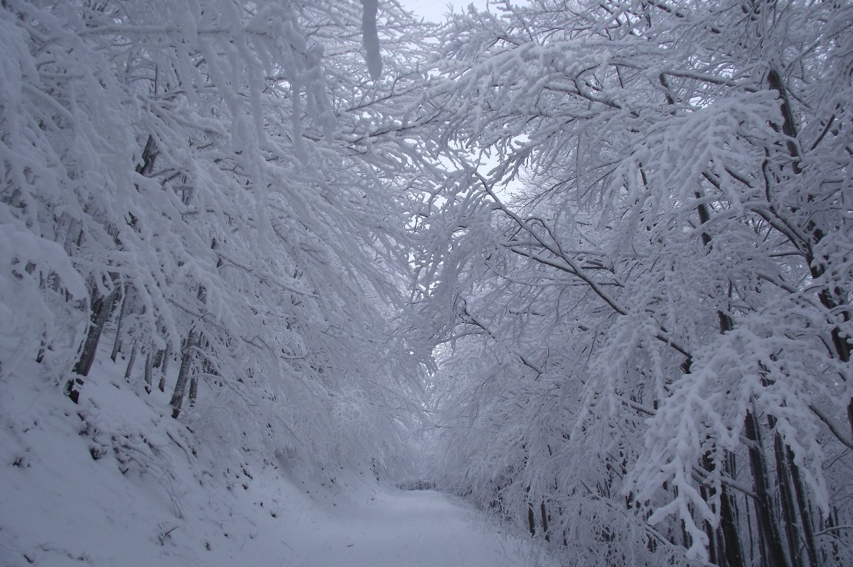 Frenštát pod Radhoštěm