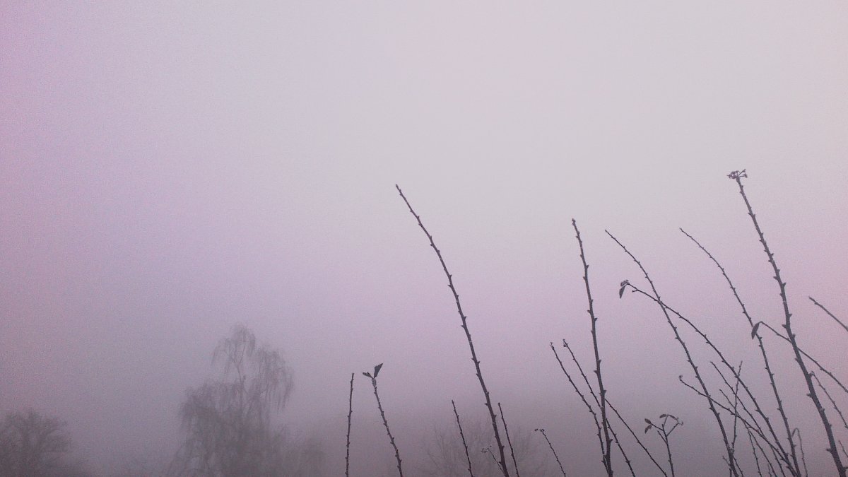 Velká Bíteš, Březka