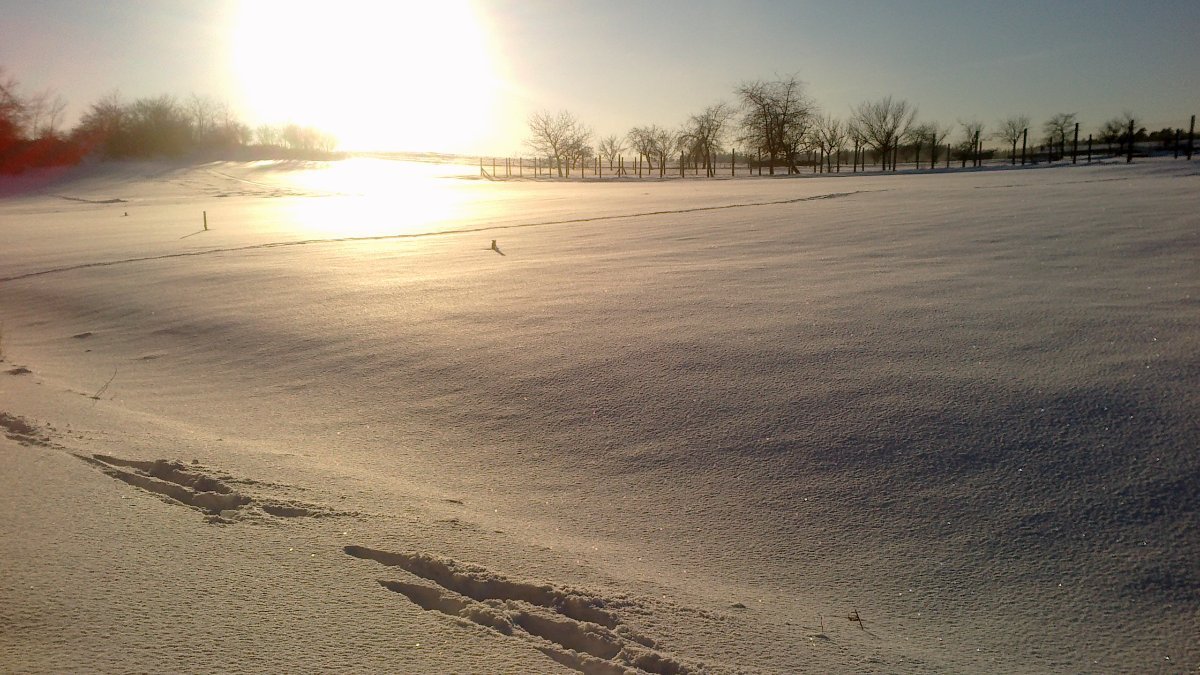 Velká Bíteš, Březka
