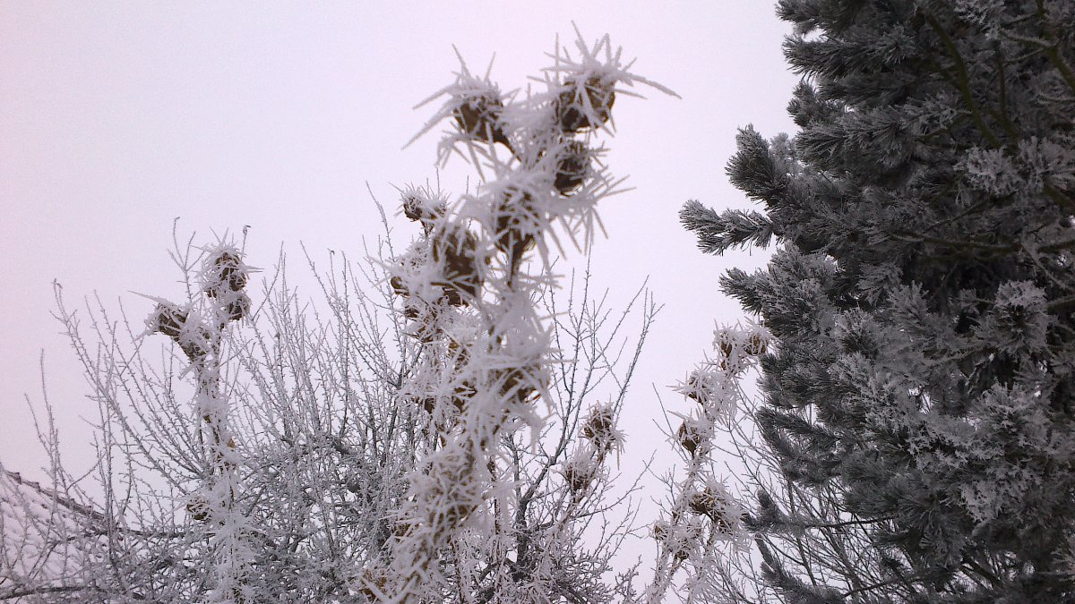 Velká Bíteš, Březka