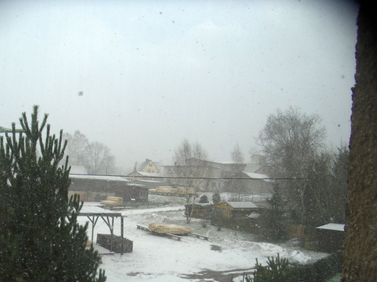 Březová u Broumova