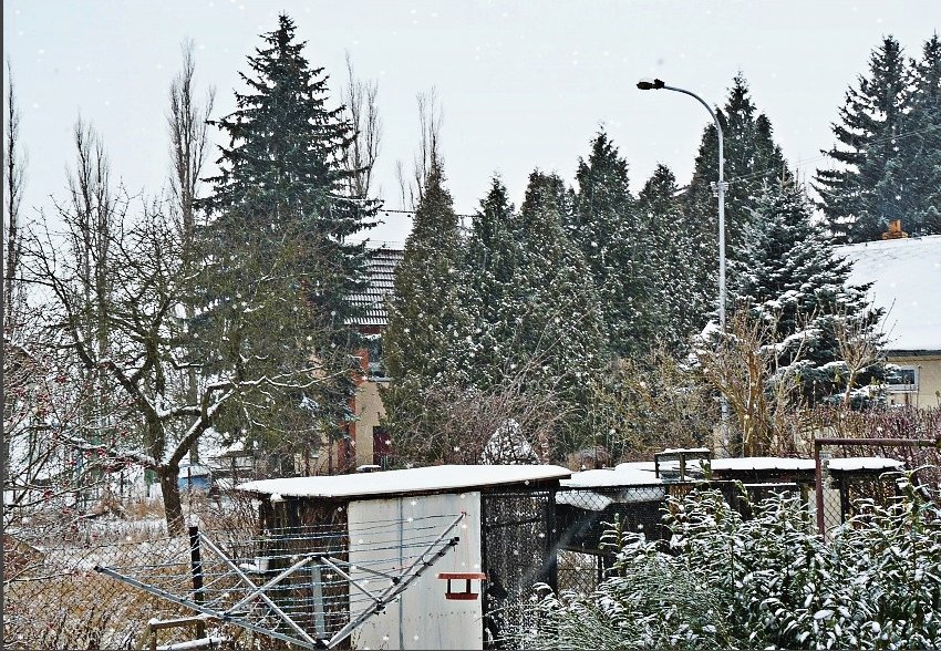 Olešnice na Moravě