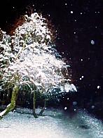 Nové Město na Moravě