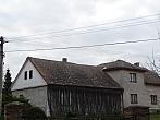 Třibřichy
