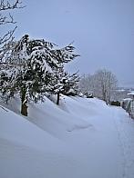 Nové Město na Moravě