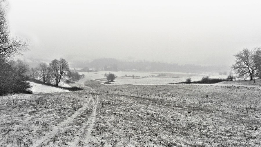 Olešnice na Moravě