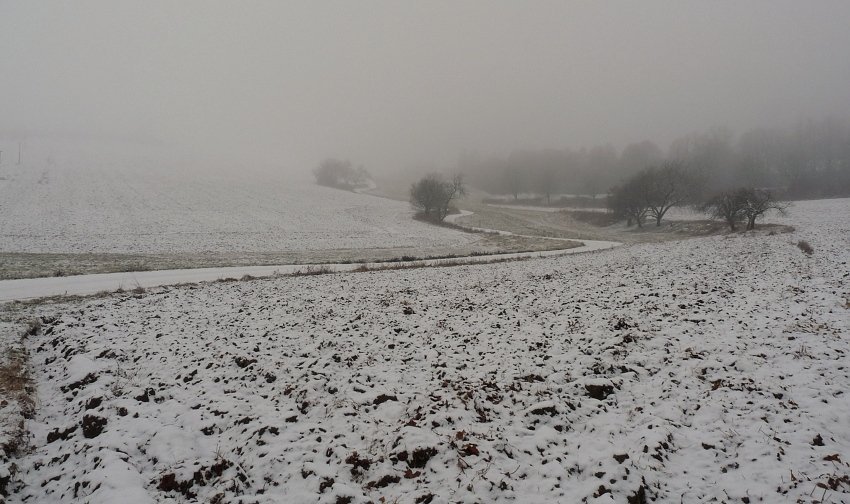 Olešnice na Moravě