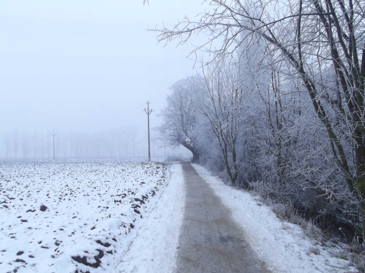 Čelechovice na Hané