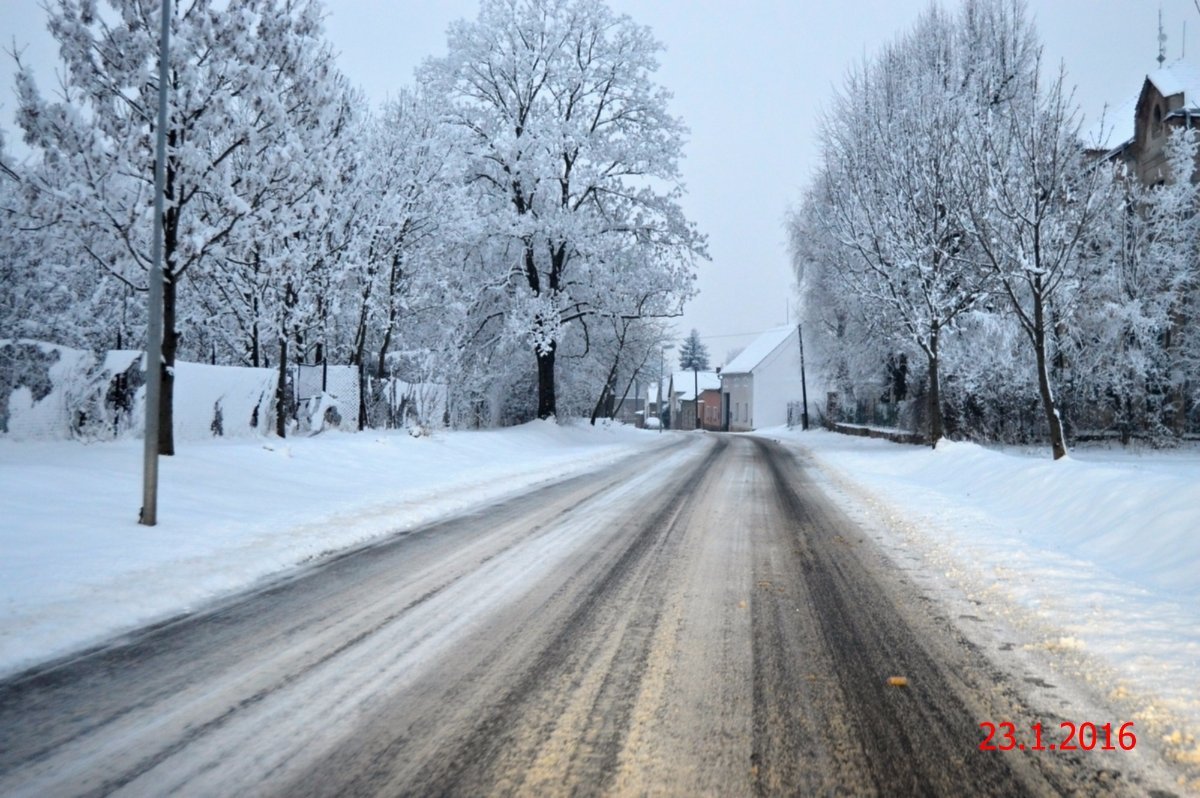 Radešín (Podřipsko)