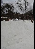 Rokytnice nad Rokytnou