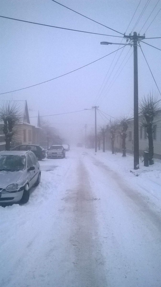 Moravské Budějovice, Palliardiho