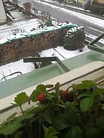 Třebechovice pod Orebem