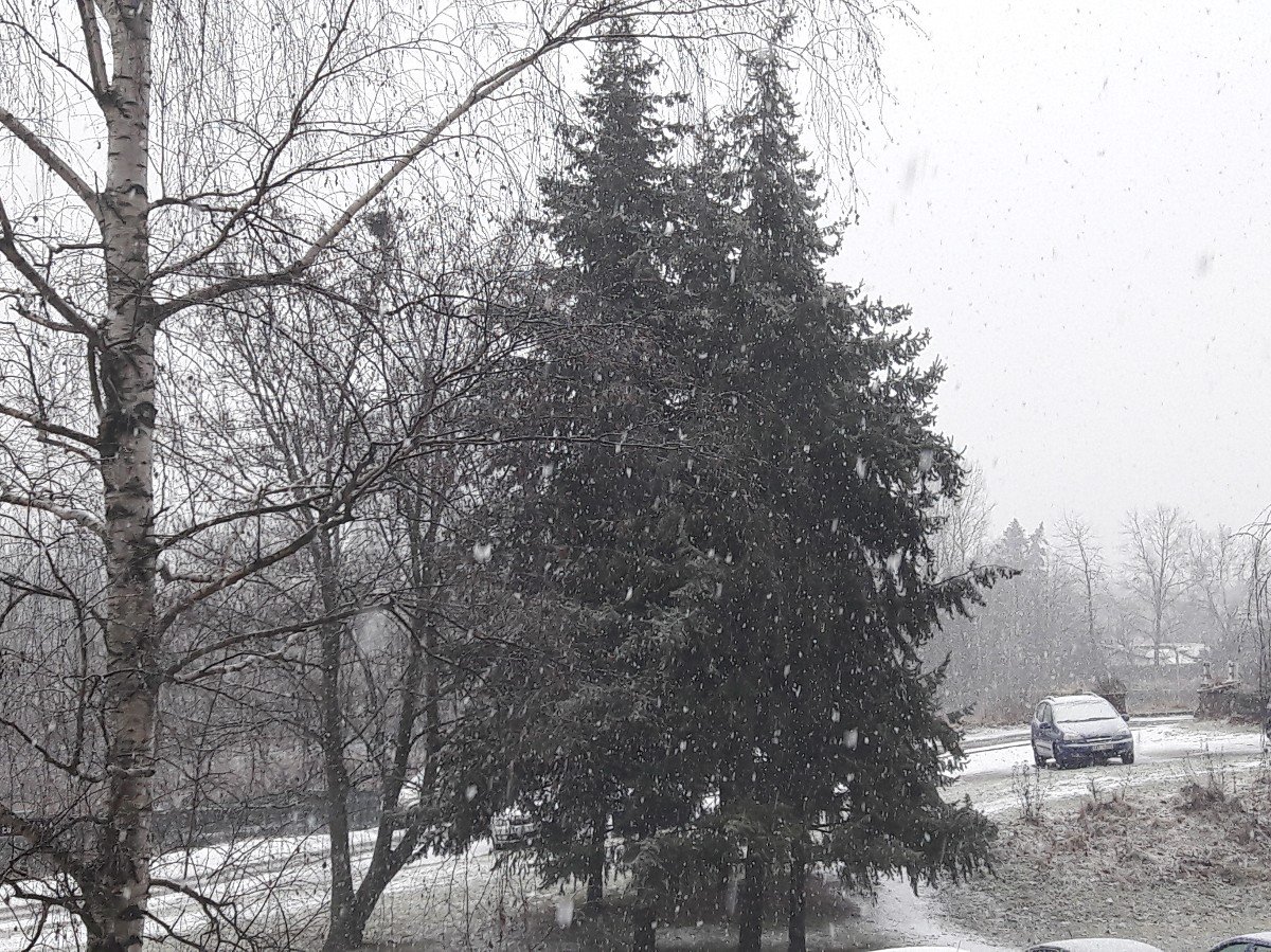 Hradec Králové-Třebeš