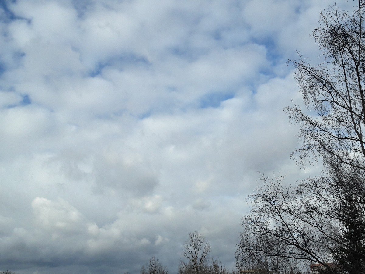 Hradec Králové-Třebeš