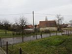 Třibřichy